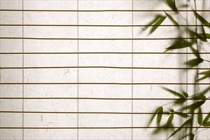 Paper Blinds 