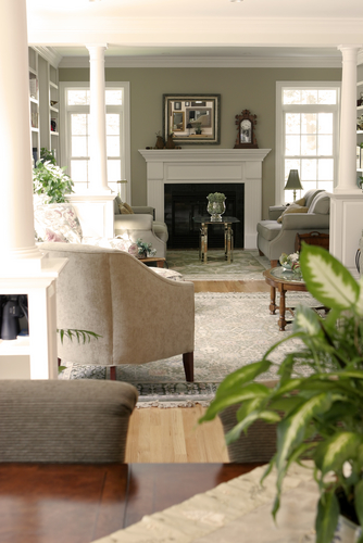 the living room 